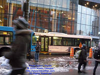 STM-21219-121409-01.jpg