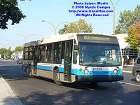 STM-21239-092408-01.jpg