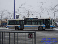 STM-21258-010209-01.jpg