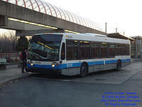 STM-22254-111809-01.jpg