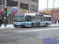 STM-22351-010209-01.jpg
