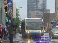 STM-22366-071308-01.jpg