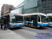 STM-23219-021609-01.jpg