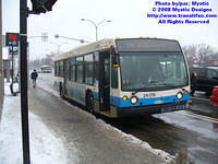 STM-24215-020508-01.jpg