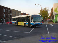 STM-24240-092408-02.jpg