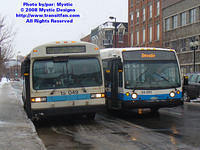 STM-24252-020508-01.jpg