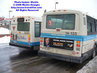 STM-24252-020508-02.jpg