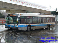 STM-25201-020808-01.jpg