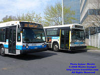 STM-25232-042608-01.jpg
