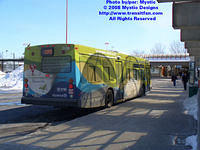 STM-25236-031308-06.jpg
