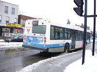 STM-26018-020508-02.jpg