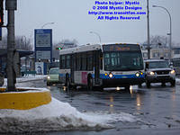 STM-26018-020508-03.jpg
