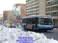 STM-26023-031308-01.jpg