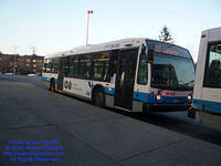 STM-26026-112309-01.jpg