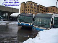 STM-26030-020808-01.jpg