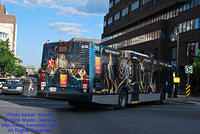 STM-26034-070509-04.jpg