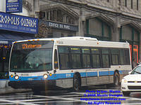 STM-26038-071308-01.jpg
