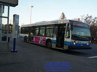 STM-26041-111809-02.jpg