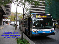 STM-26047-101308-03.jpg
