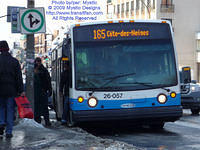 STM-26057-022509-01.jpg