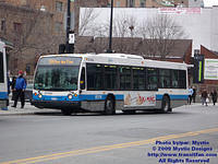 STM-27013-021609-01.jpg