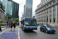 STM-27020-070809-01.jpg