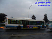 STM-27513-062808-01.jpg