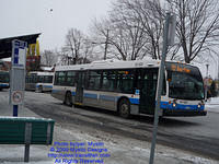 STM-27522-010209-01.jpg