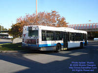 STM-28027-101909-02.jpg