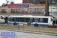 STM-28031-080609-03.jpg