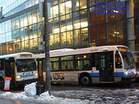 STM-28064-121409-01.jpg