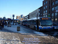 STM-28084-010509-01.jpg