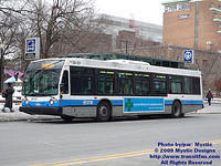STM-28121-021609-01.jpg