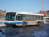 STM-28126-010509-01.jpg
