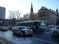 STM-28131-012409-01.jpg