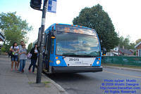 STM-29073-091309-02a.jpg
