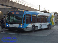 STM-29078-111809-06.jpg