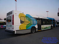 STM-29101-112309-06.jpg