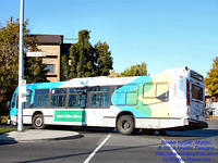 STM-29102-101909-03.jpg