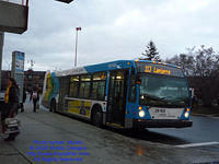 STM-29102-113009-01.jpg
