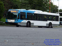 STM-29009-071509-01.jpg