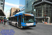 STM-29011-080109-01