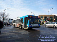 STM-29015-022509-03.jpg