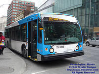 STM-29018-021609-04.jpg