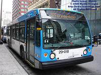 STM-29018-021609-0B.jpg