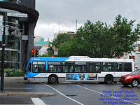 STM-29022-070809-01.jpg