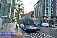 STM-29052-070809-01.jpg
