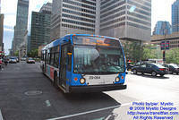 STM-29064-070809-04.jpg
