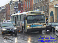 STM-15028-020508-01.jpg