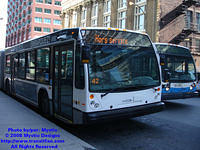 STM-40882-032408-07.jpg
